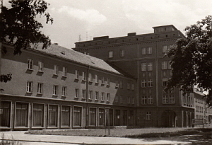 Senftenberg